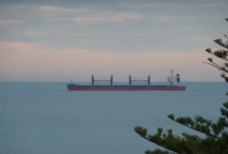 DALIAN STAR D Bulk Carrier IMO 9324148 photo 9