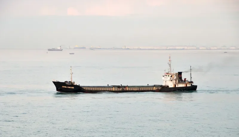 ROYAL FORTUNE General Cargo IMO 9324203