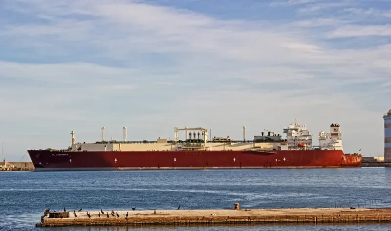 AL JASSASIYA General Cargo IMO 9324435 photo 2