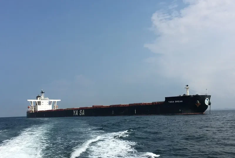 YASA DREAM Bulk Carrier IMO 9324461