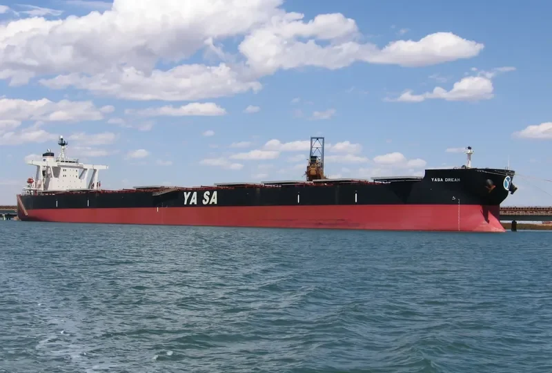 YASA DREAM Bulk Carrier IMO 9324461 photo 3