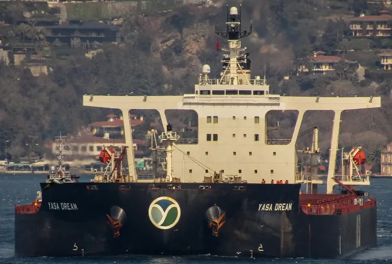 YASA DREAM Bulk Carrier IMO 9324461 photo 6