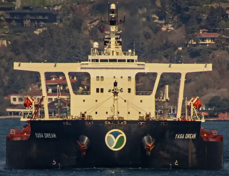 YASA DREAM Bulk Carrier IMO 9324461 photo 7