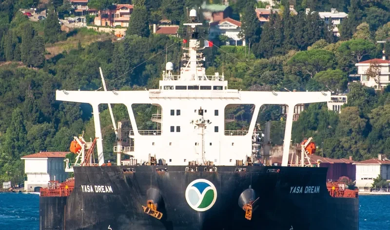 YASA DREAM Bulk Carrier IMO 9324461 photo 10