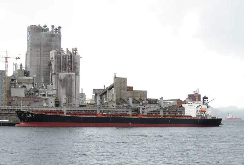 JAG ROHAN Bulk Carrier IMO 9324631 photo 2