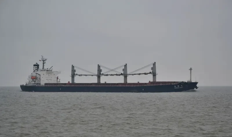 JAG ROHAN Bulk Carrier IMO 9324631 photo 7