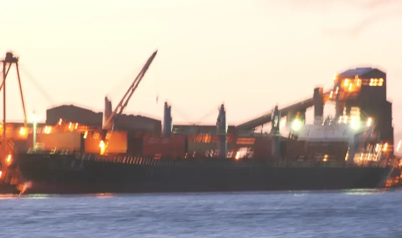 JAG ROHAN Bulk Carrier IMO 9324631 photo 9