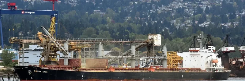 DIVA EVA Bulk Carrier IMO 9324643