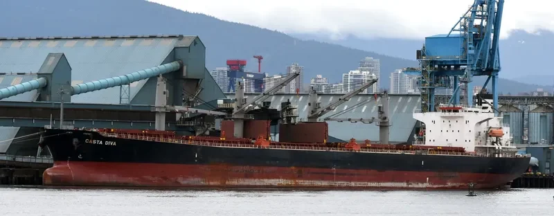 DIVA EVA Bulk Carrier IMO 9324643 photo 3