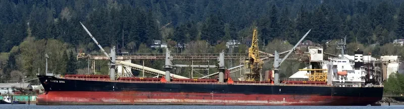 DIVA EVA Bulk Carrier IMO 9324643 photo 5
