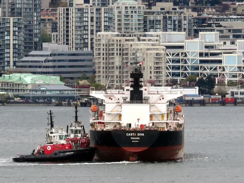 DIVA EVA Bulk Carrier IMO 9324643 photo 9