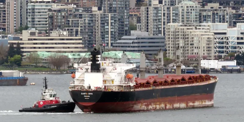 DIVA EVA Bulk Carrier IMO 9324643 photo 10