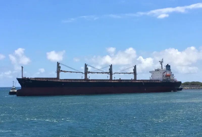 GREAT PRAISE Bulk Carrier IMO 9324655 photo 2