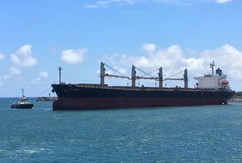 GREAT PRAISE Bulk Carrier IMO 9324655 photo 3