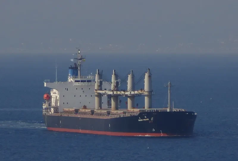 GREAT PRAISE Bulk Carrier IMO 9324655 photo 9