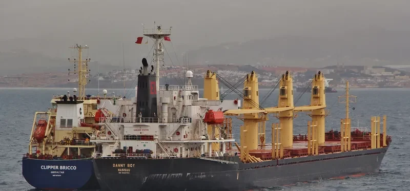 DANNY BOY Bulk Carrier IMO 9324722 photo 2