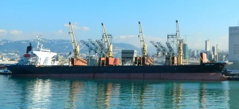 DANNY BOY Bulk Carrier IMO 9324722 photo 3