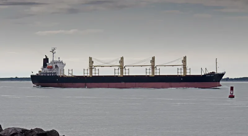 DANNY BOY Bulk Carrier IMO 9324722 photo 7
