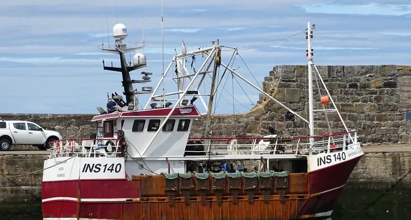 GEORGIA DAWN General Cargo IMO 9324904