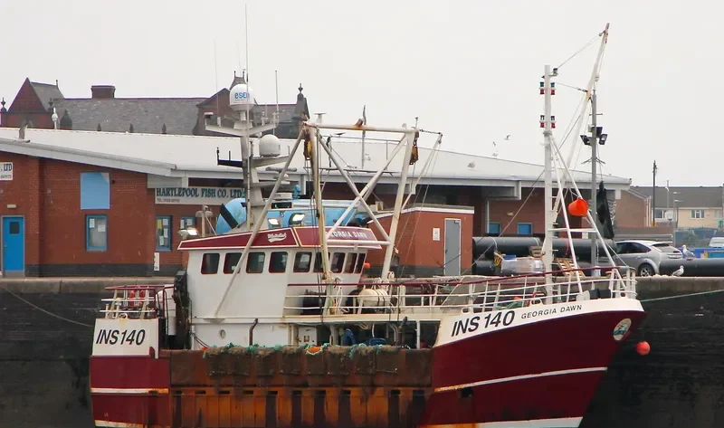 GEORGIA DAWN General Cargo IMO 9324904 photo 5