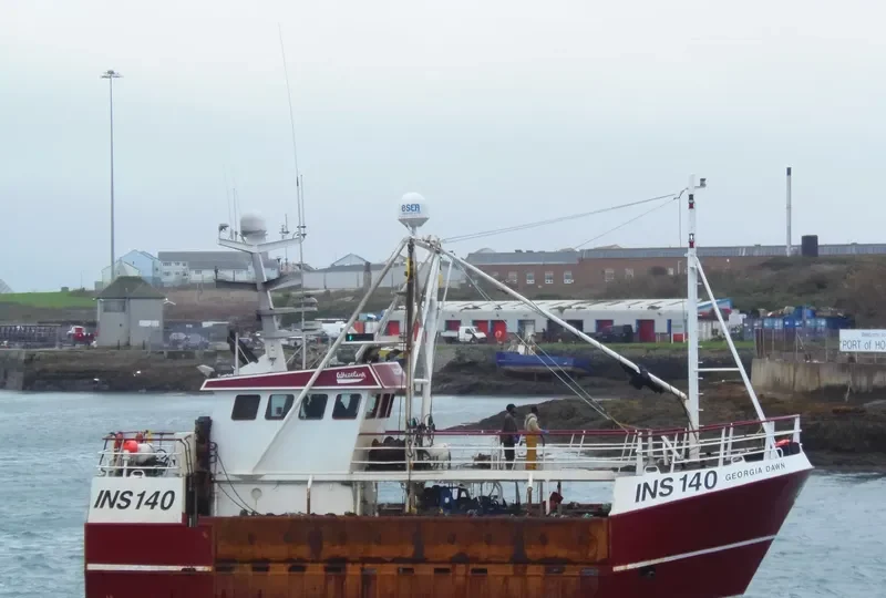 GEORGIA DAWN General Cargo IMO 9324904 photo 8