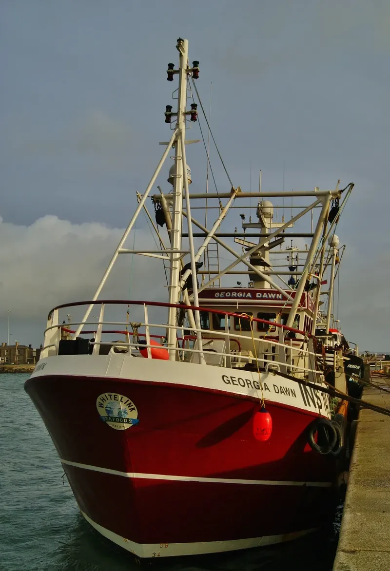 GEORGIA DAWN General Cargo IMO 9324904 photo 9