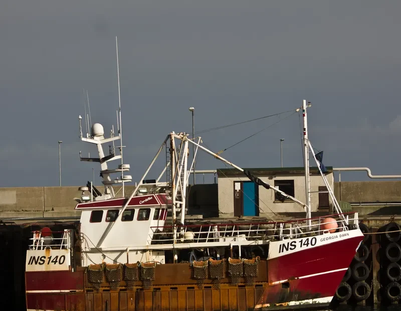 GEORGIA DAWN General Cargo IMO 9324904 photo 10