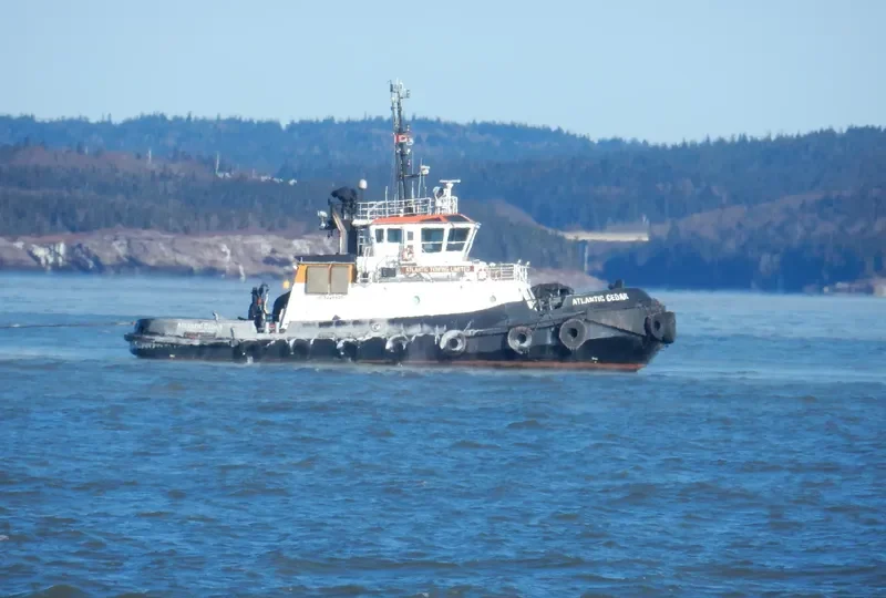 ATLANTIC CEDAR General Cargo IMO 9324928