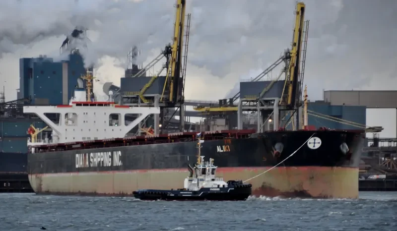 ALIKI Bulk Carrier IMO 9324992 photo 5