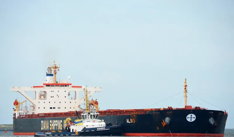 ALIKI Bulk Carrier IMO 9324992 photo 8