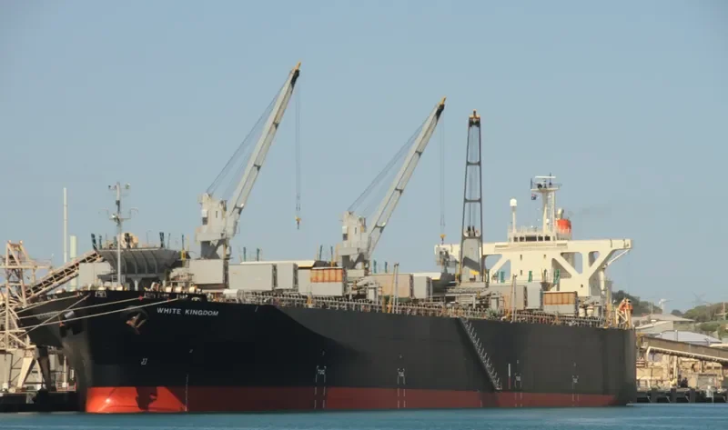 WHITE KINGDOM Bulk Carrier IMO 9325075