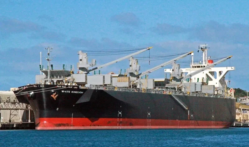 WHITE KINGDOM Bulk Carrier IMO 9325075 photo 5