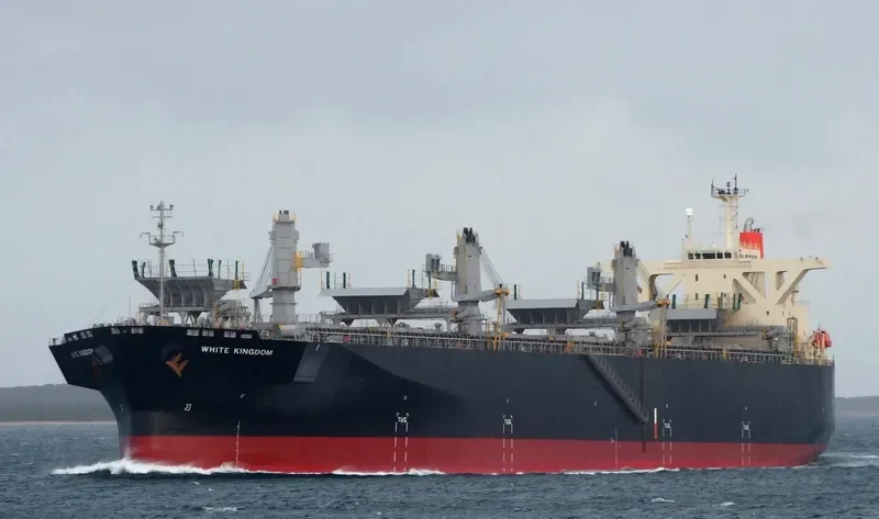 WHITE KINGDOM Bulk Carrier IMO 9325075 photo 9