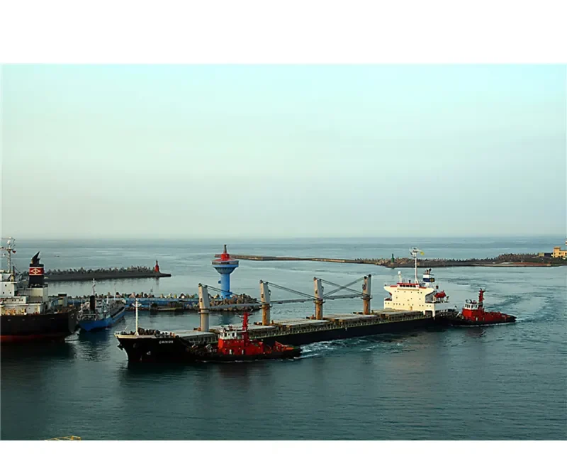 GRIKOS Bulk Carrier IMO 9325099 photo 4