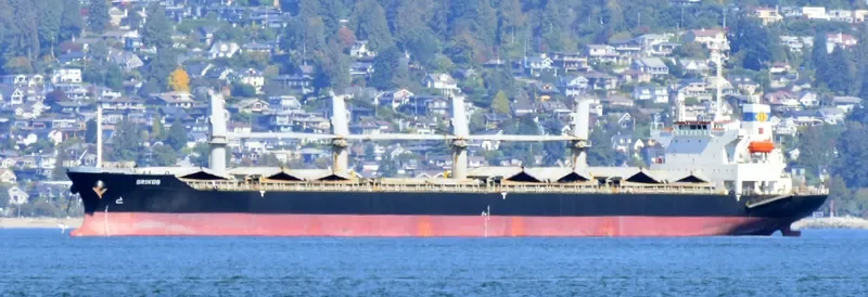 GRIKOS Bulk Carrier IMO 9325099 photo 10