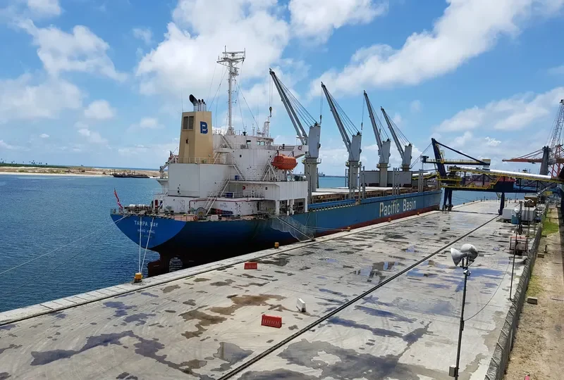 TAMPA BAY Bulk Carrier IMO 9325104 photo 2