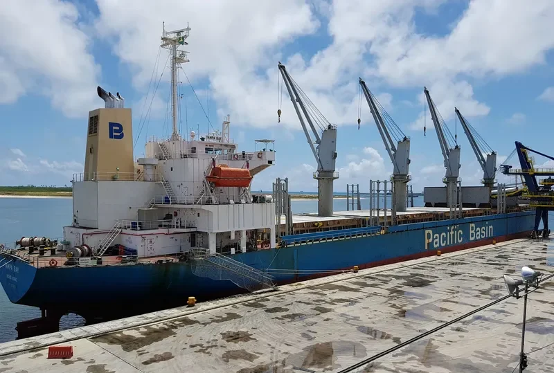 TAMPA BAY Bulk Carrier IMO 9325104 photo 3