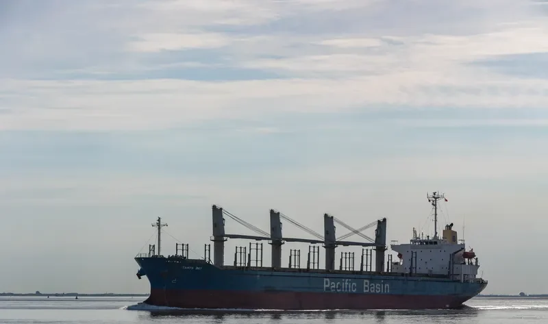 TAMPA BAY Bulk Carrier IMO 9325104 photo 5