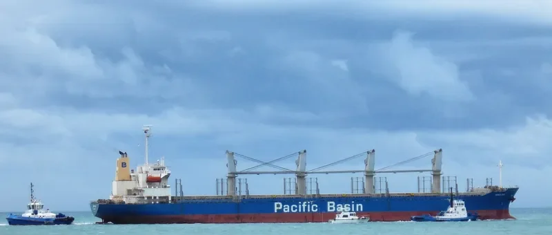 TAMPA BAY Bulk Carrier IMO 9325104 photo 7