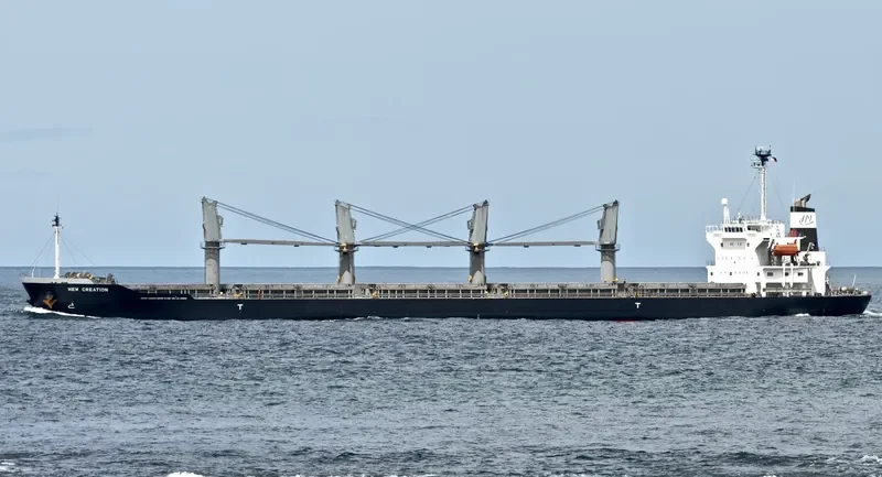 GRACE Bulk Carrier IMO 9325116