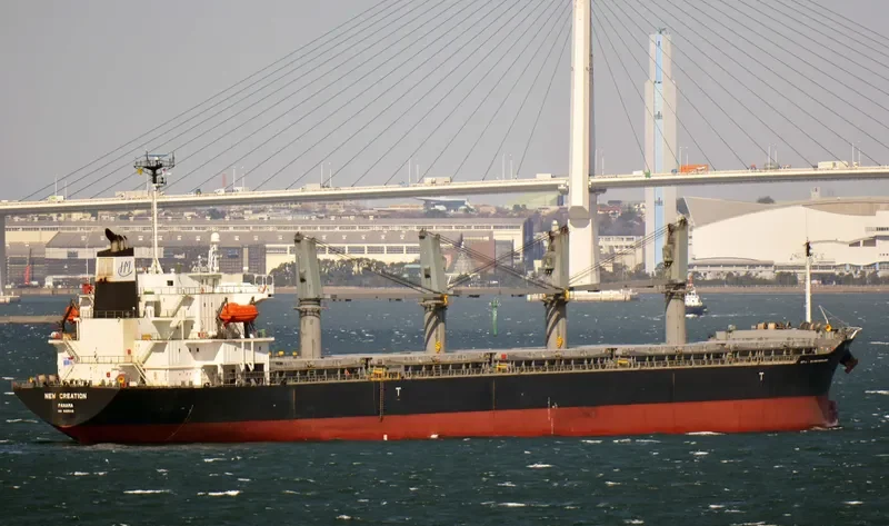 GRACE Bulk Carrier IMO 9325116 photo 4