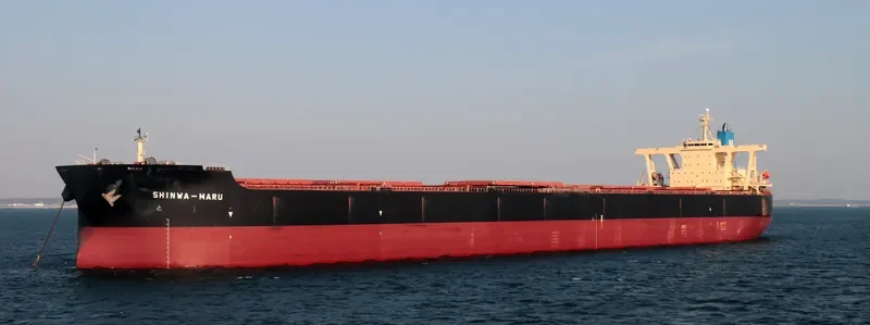 SHINWA MARU Bulk Carrier IMO 9325295