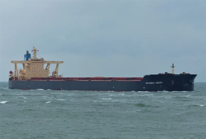 SHINWA MARU Bulk Carrier IMO 9325295 photo 7