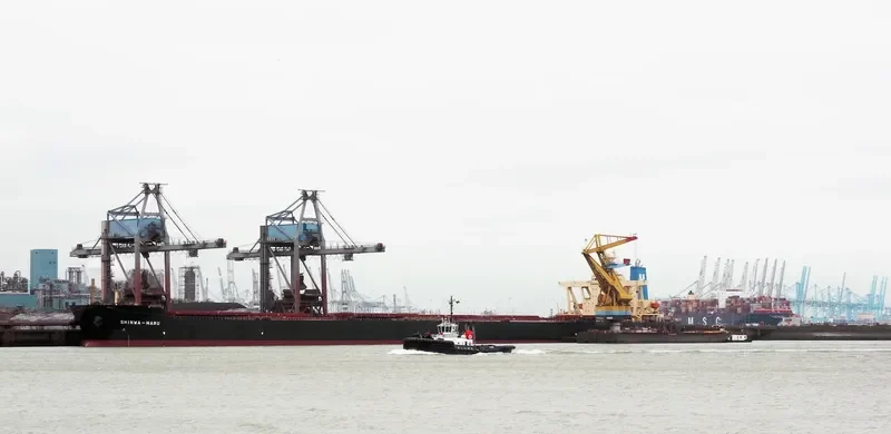 SHINWA MARU Bulk Carrier IMO 9325295 photo 8
