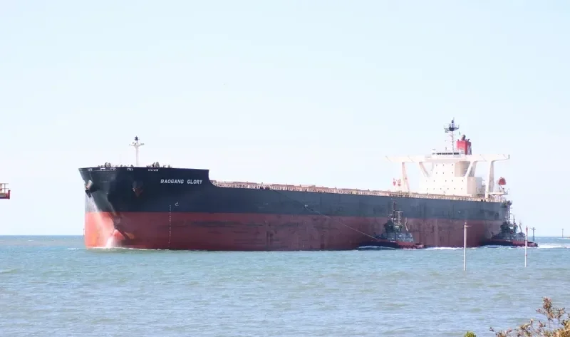 BAOGANG GLORY Bulk Carrier IMO 9325300 photo 2