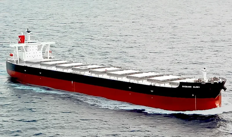 BAOGANG GLORY Bulk Carrier IMO 9325300 photo 4