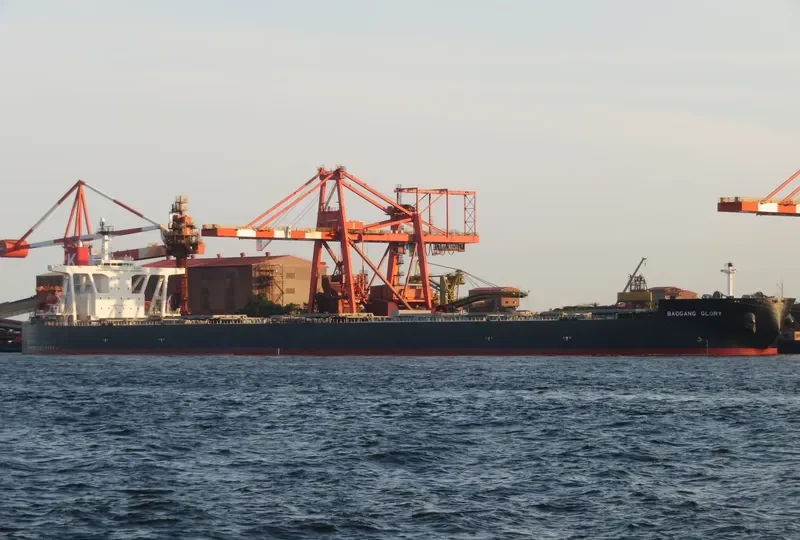 BAOGANG GLORY Bulk Carrier IMO 9325300 photo 5