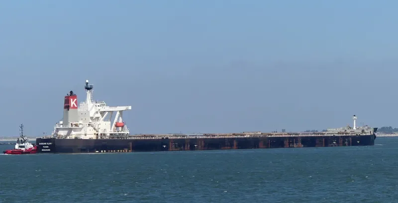 BAOGANG GLORY Bulk Carrier IMO 9325300 photo 7