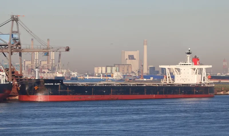 BAOGANG GLORY Bulk Carrier IMO 9325300 photo 9