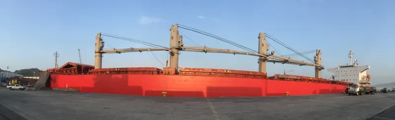 PAULINE Bulk Carrier IMO 9325350